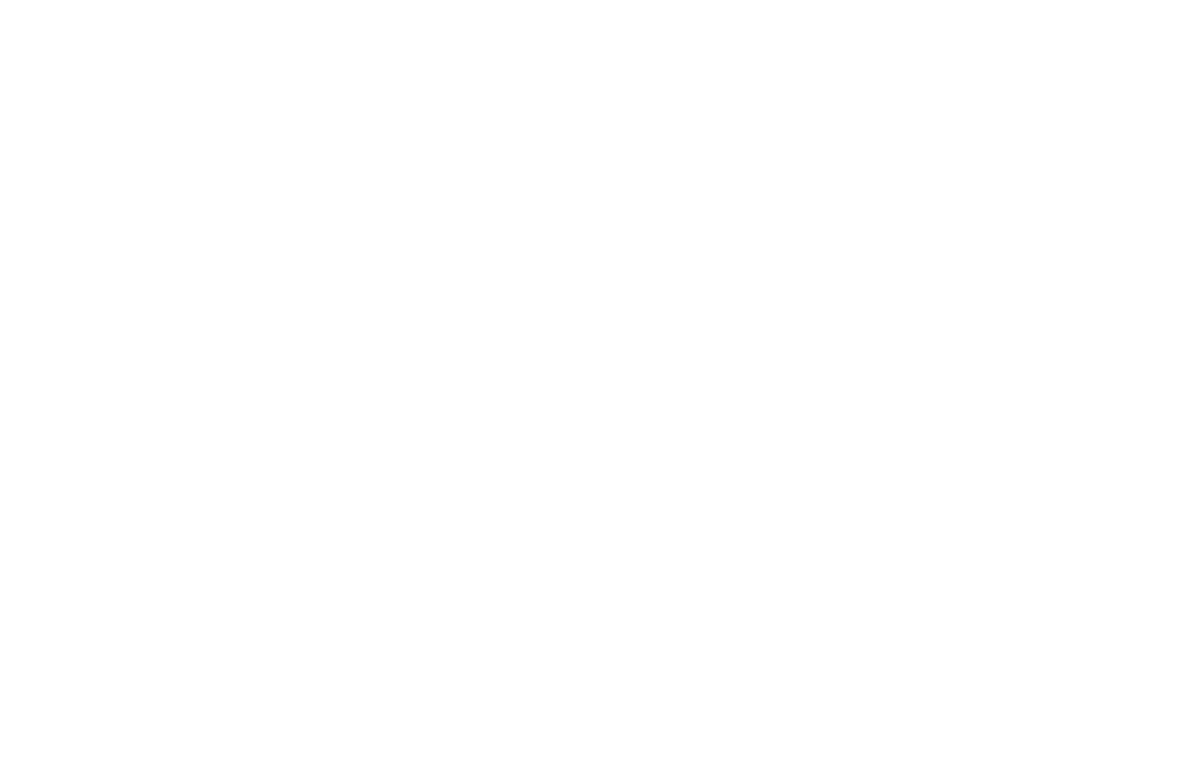 Stallion Book Publishers