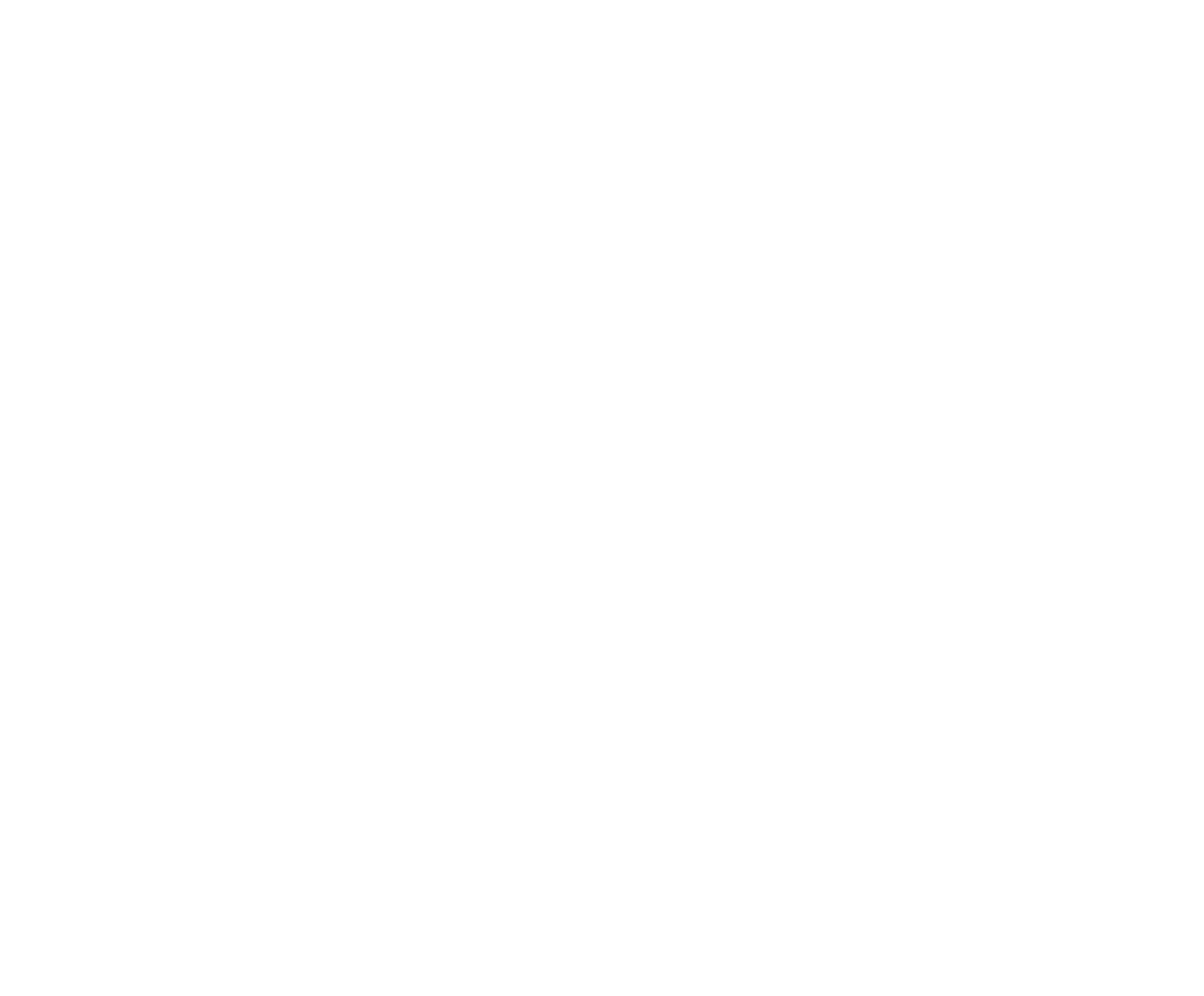 Stallion Book Publishers
