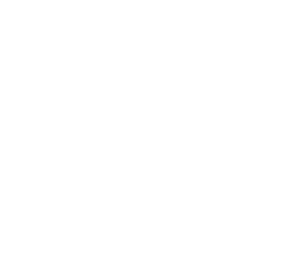 Stallion Book Publishers